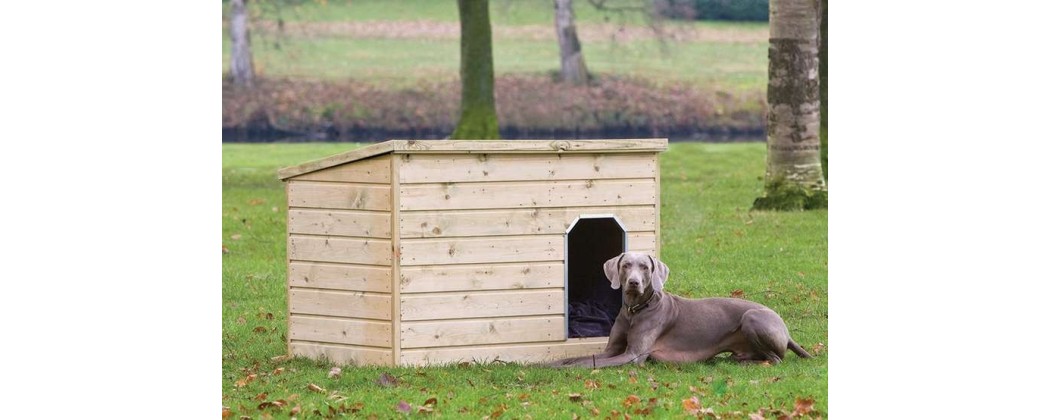 Abris pour animaux, niche à chien en bois - Jardin & Chalet